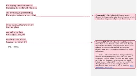 vertiginous annotated 2.jpg